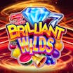 Brilliant Wilds demo &#038; detalii &#8211; RTP, volatilitate și funcții