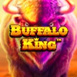 Buffalo King demo &#038; detalii &#8211; RTP, volatilitate și funcții