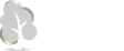 https://www.co2neutralwebsite.com/certificate/5787/en