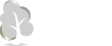https://www.co2neutralwebsite.com/certificate/5787/en