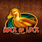 Duck of Luck: Informații și Detalii