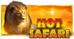 Hot Safari demo &#038; detalii – RTP, volatilitate și funcții speciale