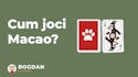 Joc de cărți Macao: Ghid de joc pentru începători