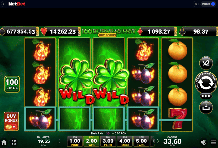 Câștig în timpul jocului cu bonusul Netbet de 33.60 lei cu două simboluri wild.
