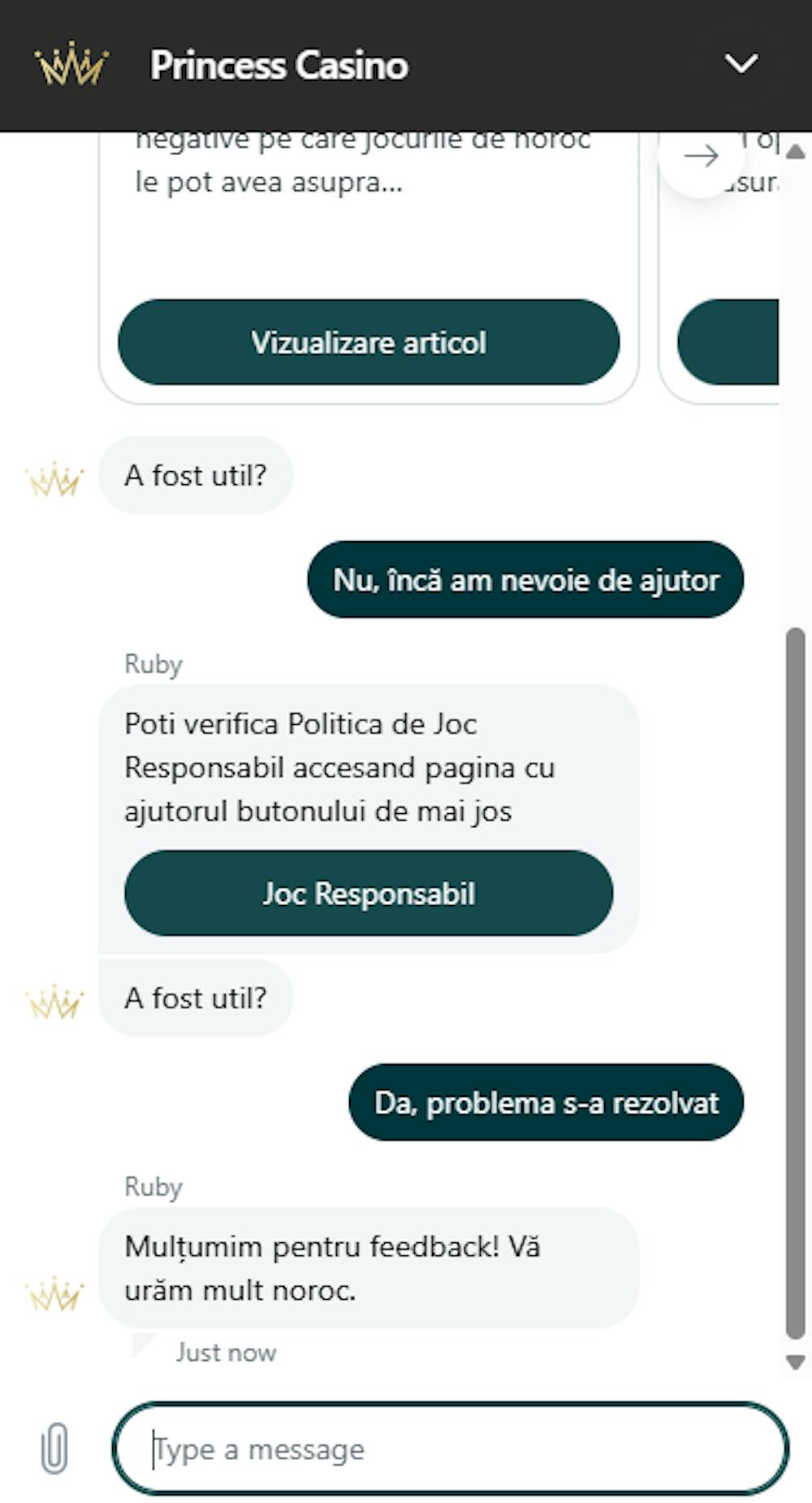 Conversație prin live chat Princess casino,