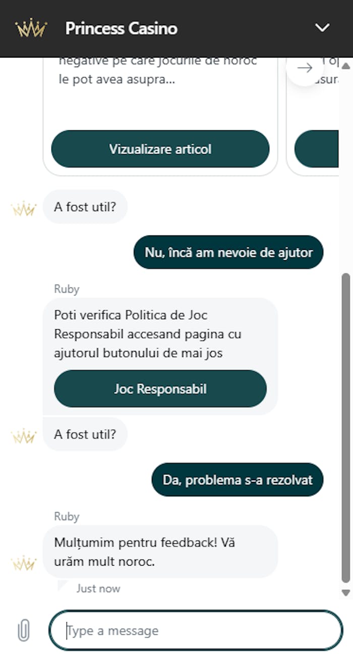 Conversație prin live chat Princess casino,