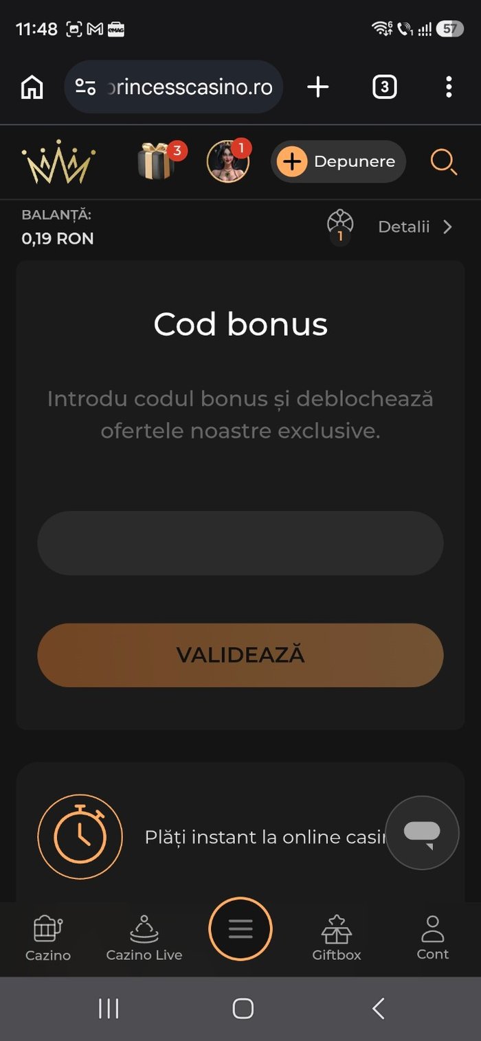 Unde scrii un cod promotional Princess casino dacă ai deja cont - captură de ecran realizată de pe mobil