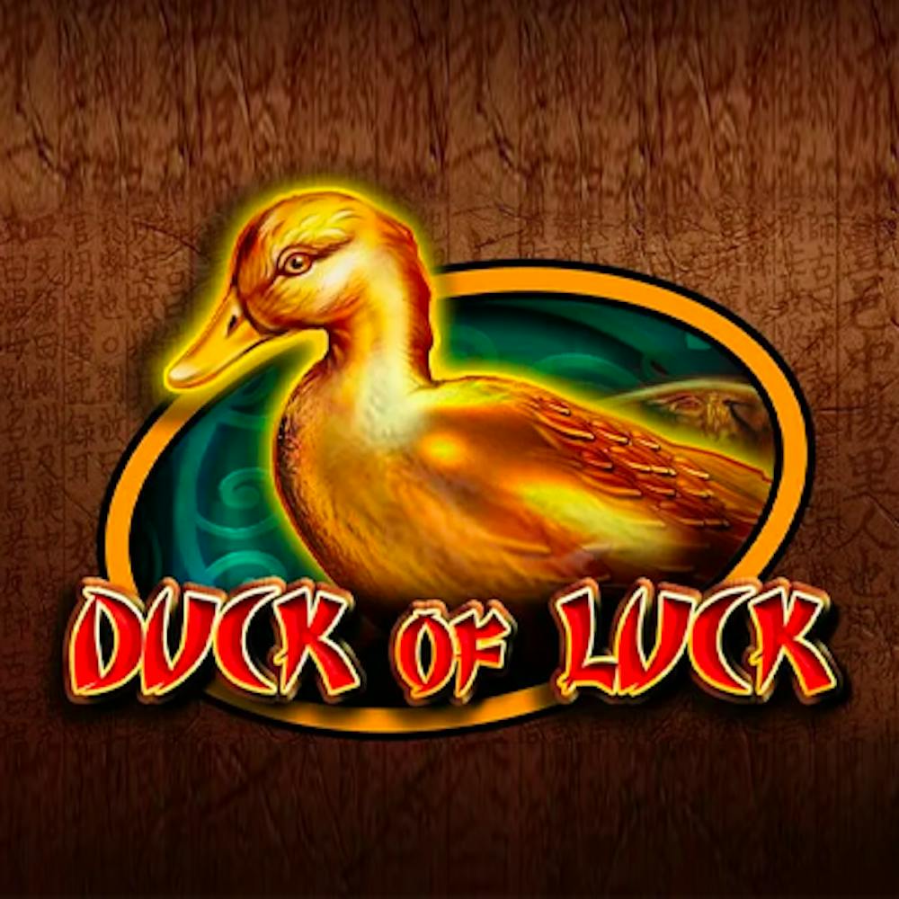 Duck of Luck: Informații și Detalii logo