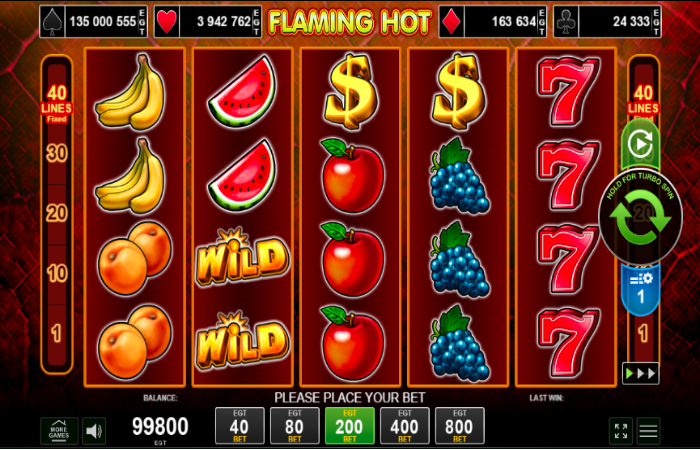 Flaming Hot – Informații și detalii logo