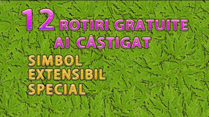 Imagine cu funcția de rotiri gratuite activă a slotului Fortune Spells
