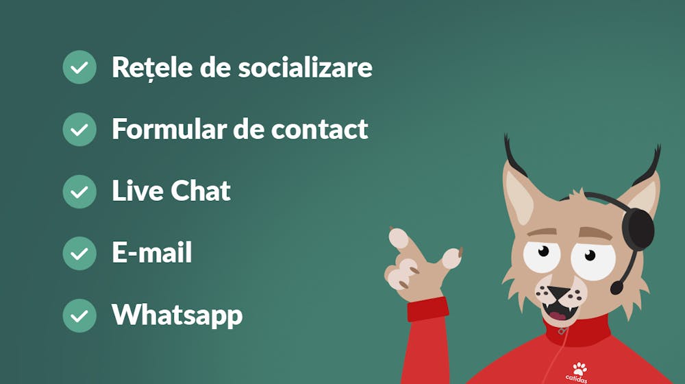 Ghid asistență jucători casino – Metode de contact și timp de răspuns