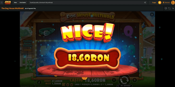 The Dog House Multihand plată de 18.60 RON pe Joker casino.