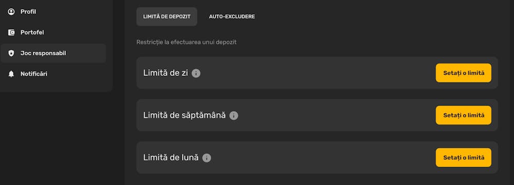 Opțiunile disponibile la rubrica Joc responsabil.