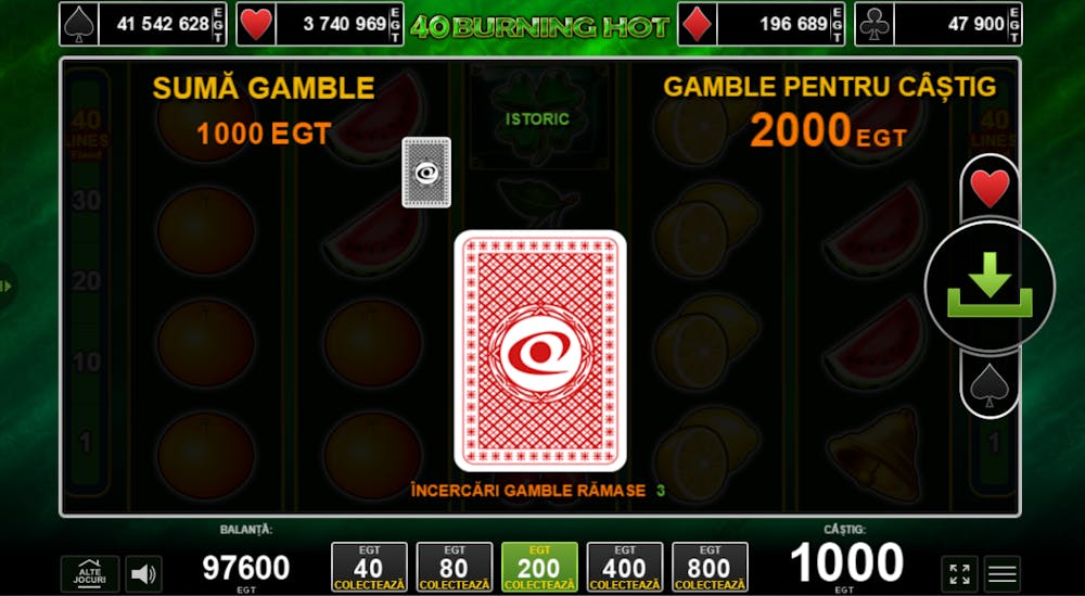 Funcția specială Gamble la 40 Burning Hot.