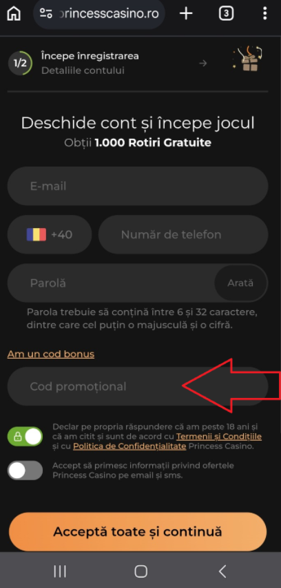 Unde introduci primul cod bonus Princess casino la înregistrare