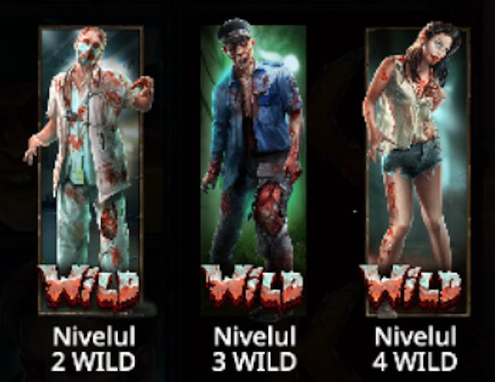 Nivelurile de la simbolul Wild.