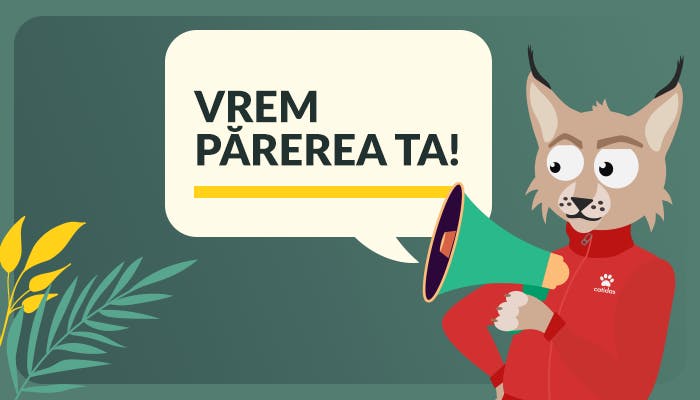 sondaje si pareri jucatori bogdancazino