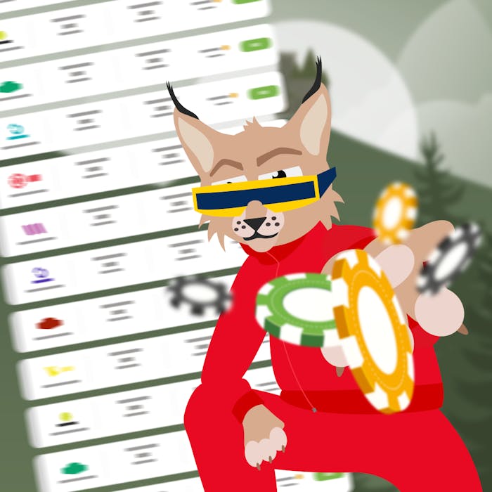 Verifica tichetul/tichetele cumparate în timp real