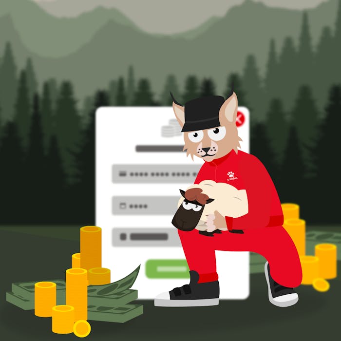 Selectează cazinoul online pentru bingo 