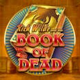 Book of Dead Demo logo