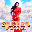 Sakura Fortune: Informații și detalii
