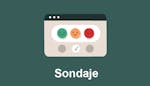 Sondaje și feedback – Ce spun jucătorii?
