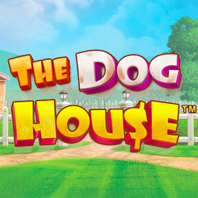 The Dog House demo – RTP, Volatilitate și Funcții