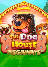 The Dog House Megaways – Informații și Detalii