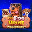 The Dog House Megaways: Informații și Detalii