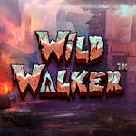Wild Walker demo &#038; detalii – RTP, volatilitate și funcții speciale