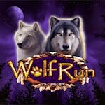 Wolf Run: Informații și detalii